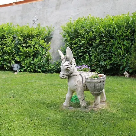 Karin Garden's *